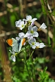 04 05 16_5554_edited-2